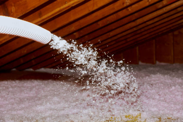Insulation Replacement Services in North Sarasota, FL