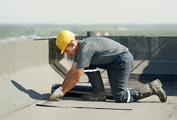 Best Insulation Contractors for Homes  in North Sarasota, FL