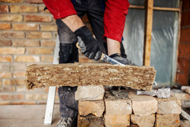 Best Wall Insulation Contractor  in North Sarasota, FL