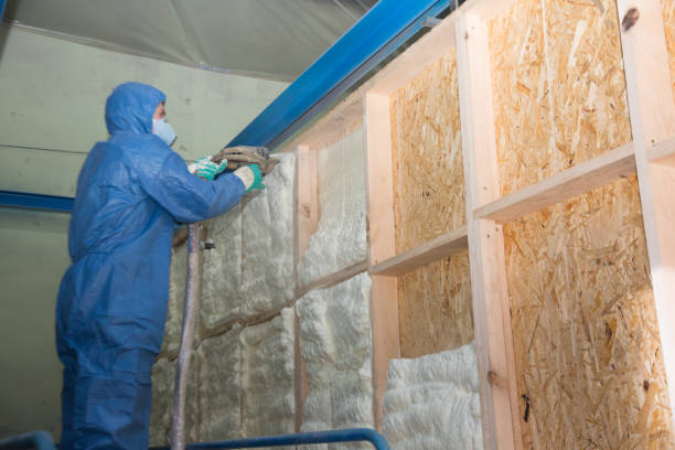 Best Residential Insulation Services  in North Sarasota, FL