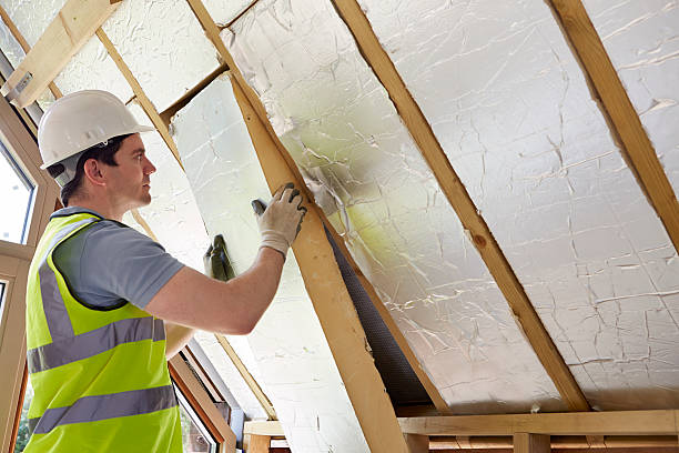 Best Spray Foam Insulation  in North Sarasota, FL