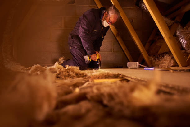Professional Insulation Contractor in North Sarasota, FL